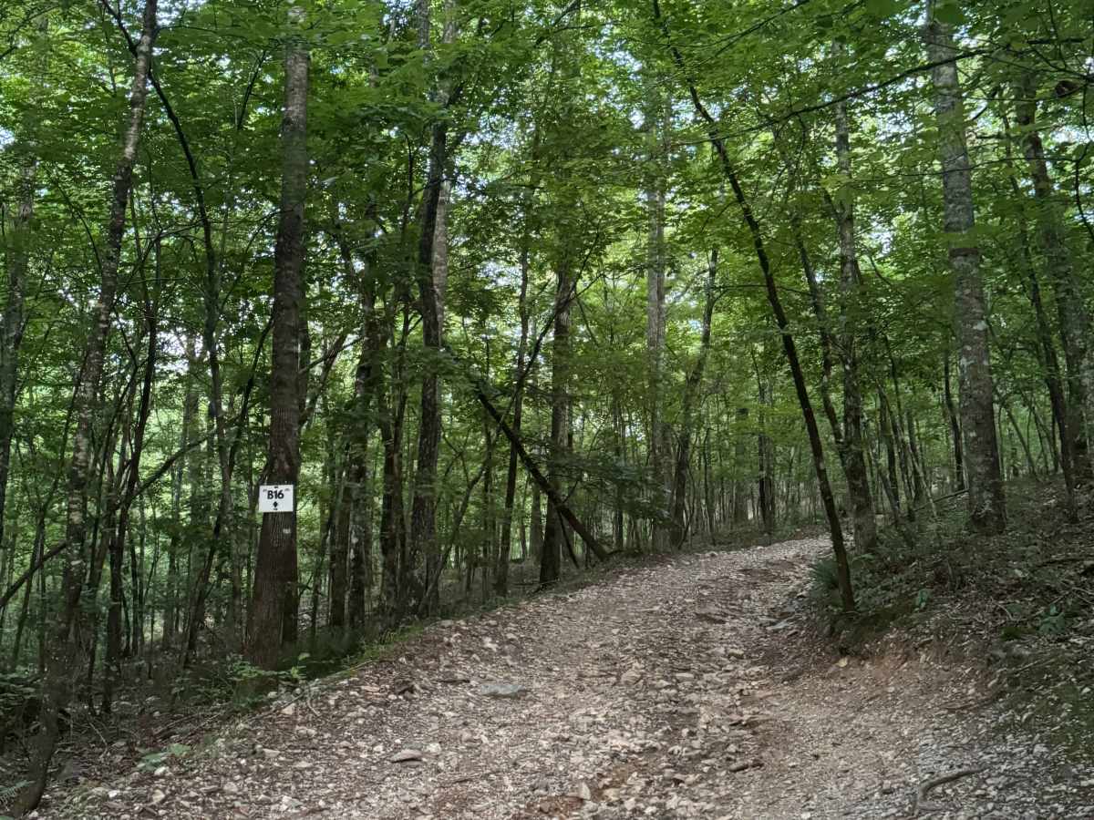 B16 trail photo