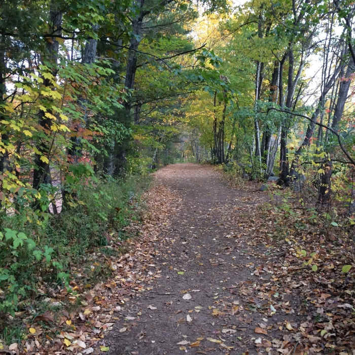 Tote Road Trail. Near Perimeter Trail