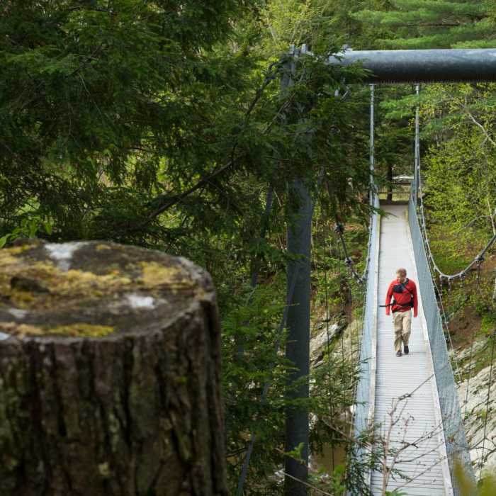Near Prospect Rock Near Prospect Rock
