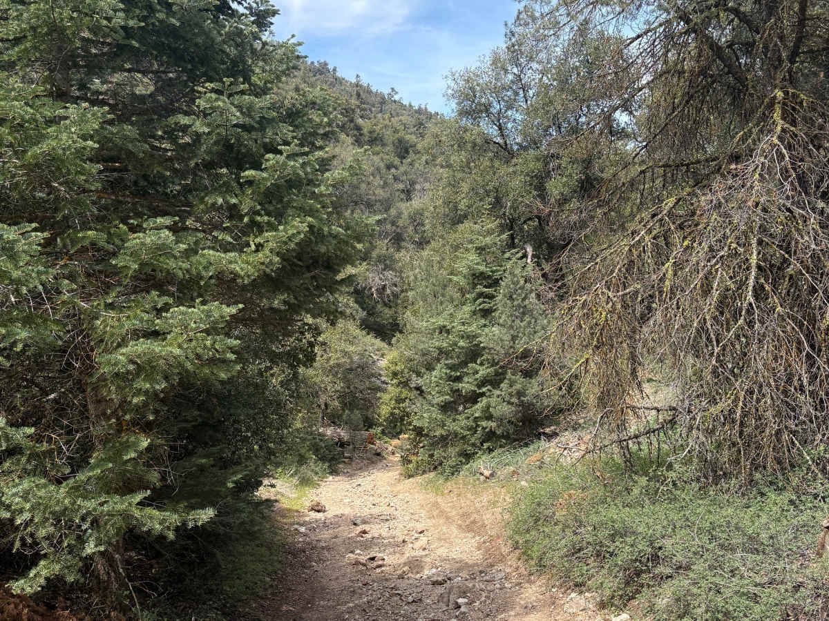 Salt Creek photo 6