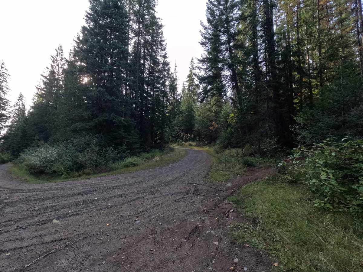 FS 7005480 trail photo