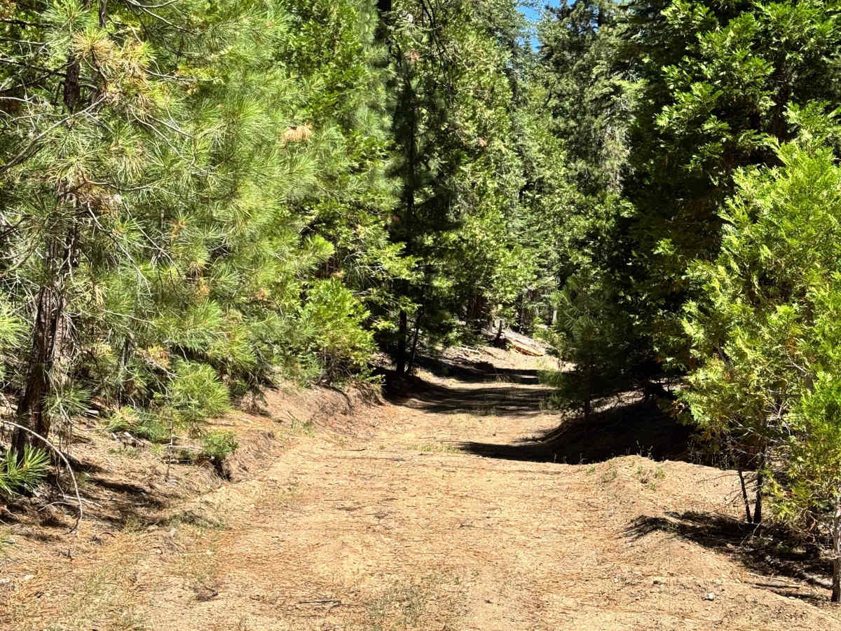 FS 5N90 trail photo