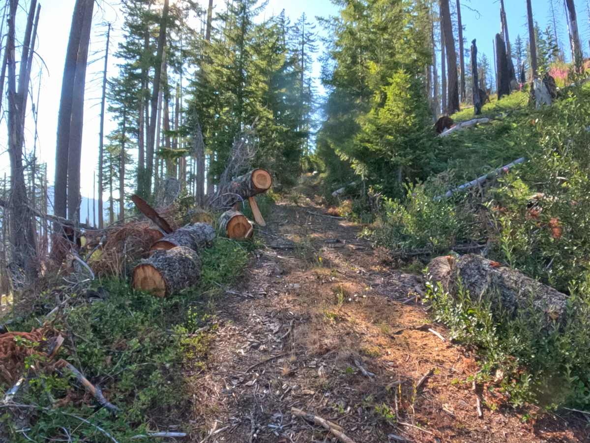 FS 2200035 trail photo