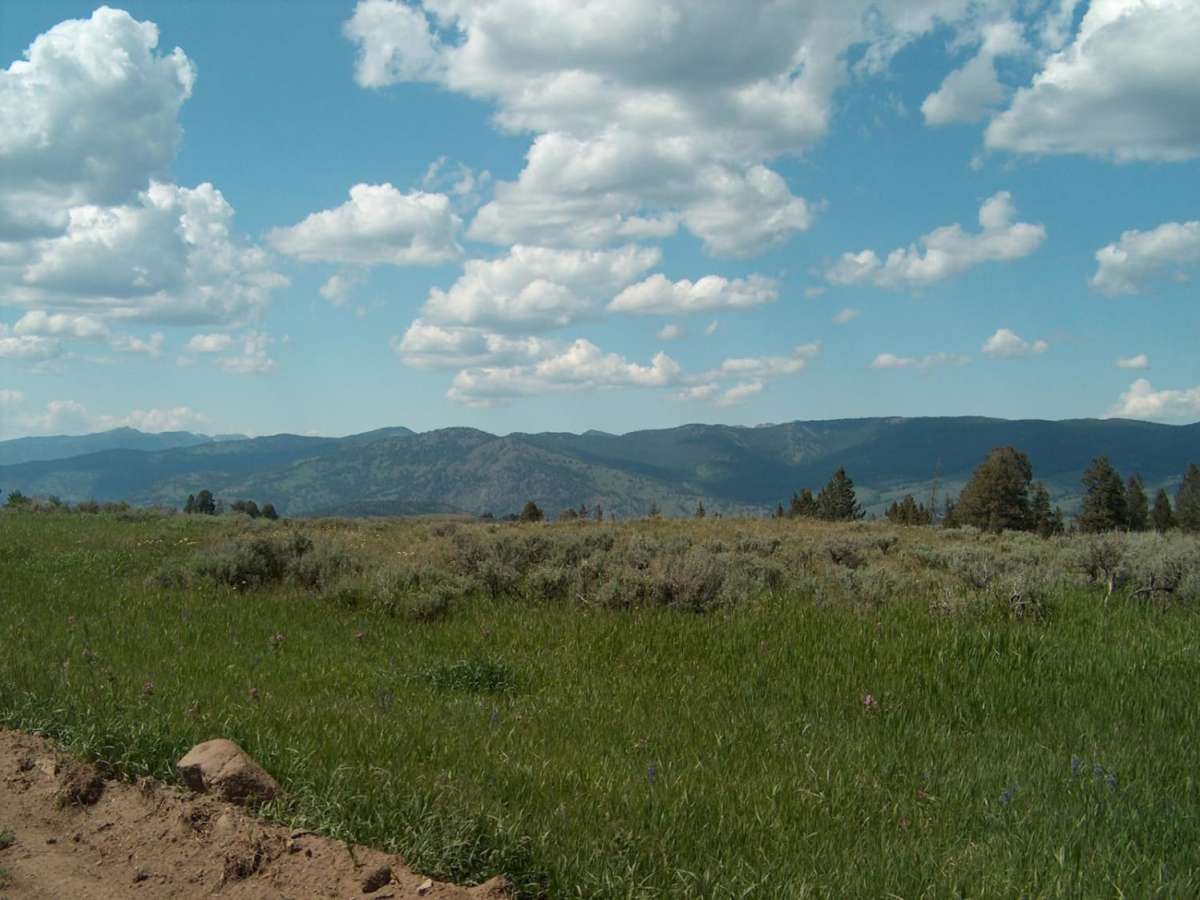 Blacktail Plateau trail photo