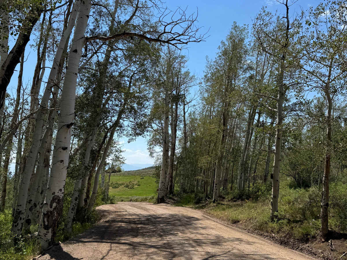 County Road 151 photo 5