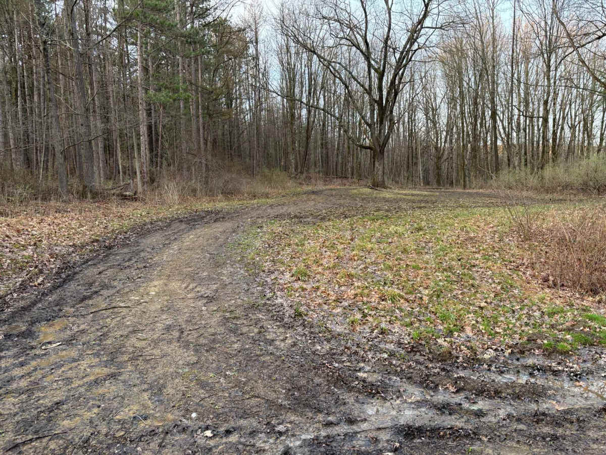 Turnpike Forest Road photo 5
