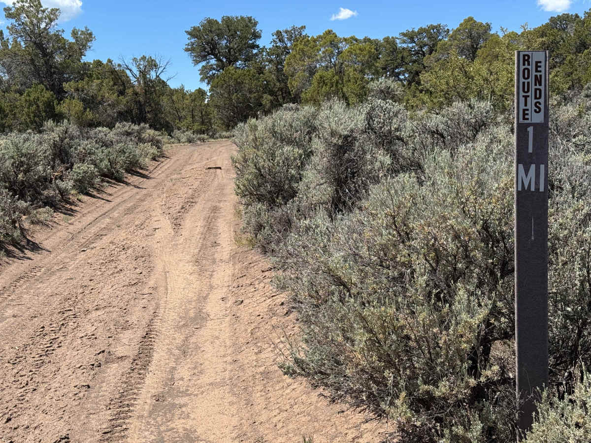BLM 8473A photo 3