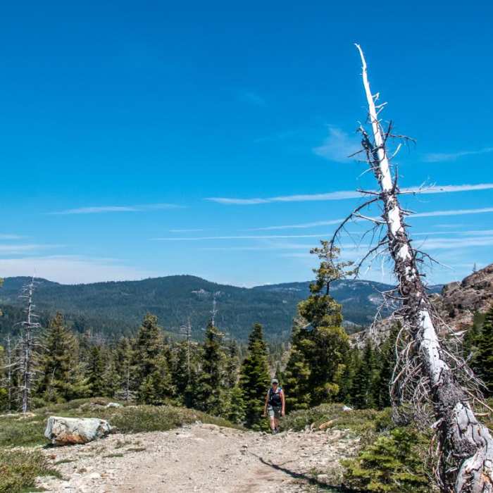 Near Tamrack Lakes Hike