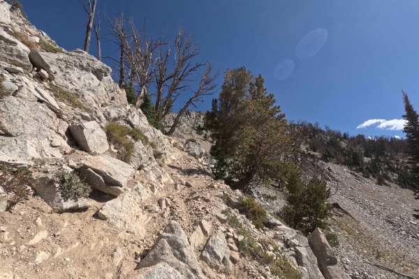 Bass Creek - FS 7061