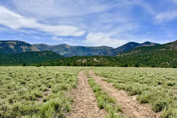 Sawmill Creek - FS 44425