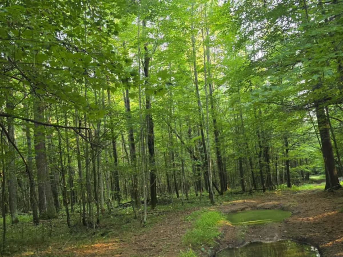 Camp Trail photo 4