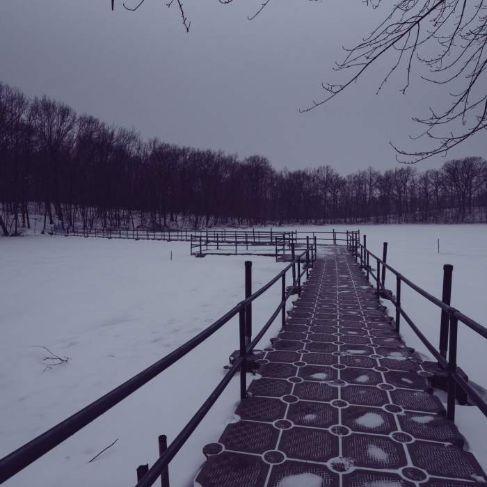 Eastman Nature Center Pond - Elm Creek Park Reserve. Near Elm Creek Loop