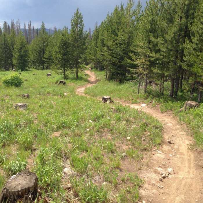 The descent when heading east to west. Near Lost Lake Trail