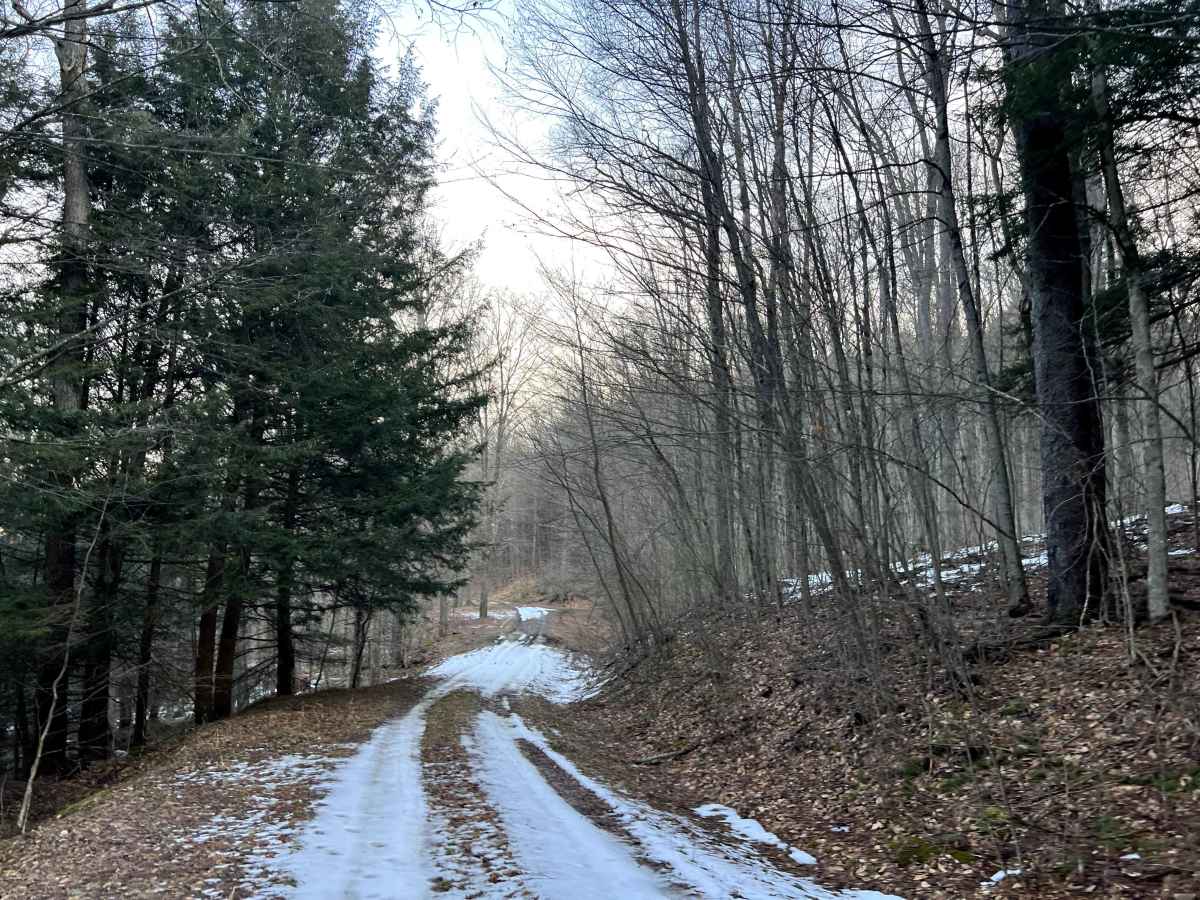 Meade Run Trail - FS 457A photo 4
