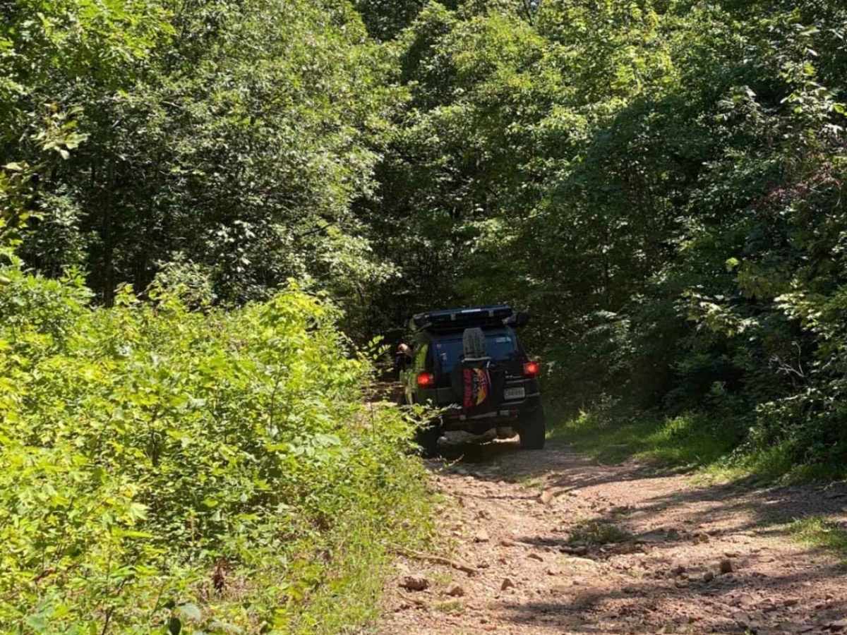 Lake Shore Loop trail photo