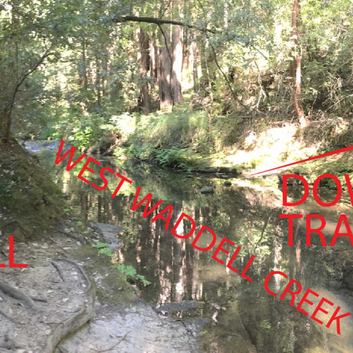 Near Chalk Mountain Loop