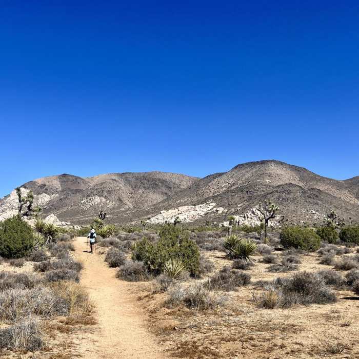 Near Juniper Flats Loop via Ryan Campground