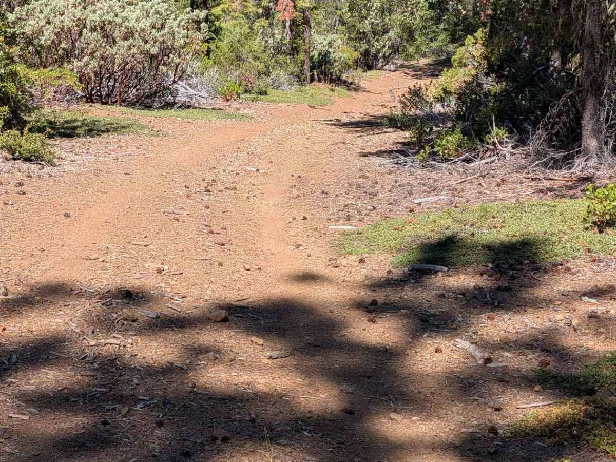 Tule Divide Road - FS 2N53 photo 6