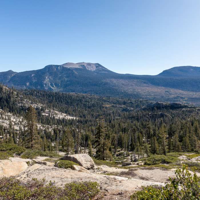 Near Summit Meadow Trail