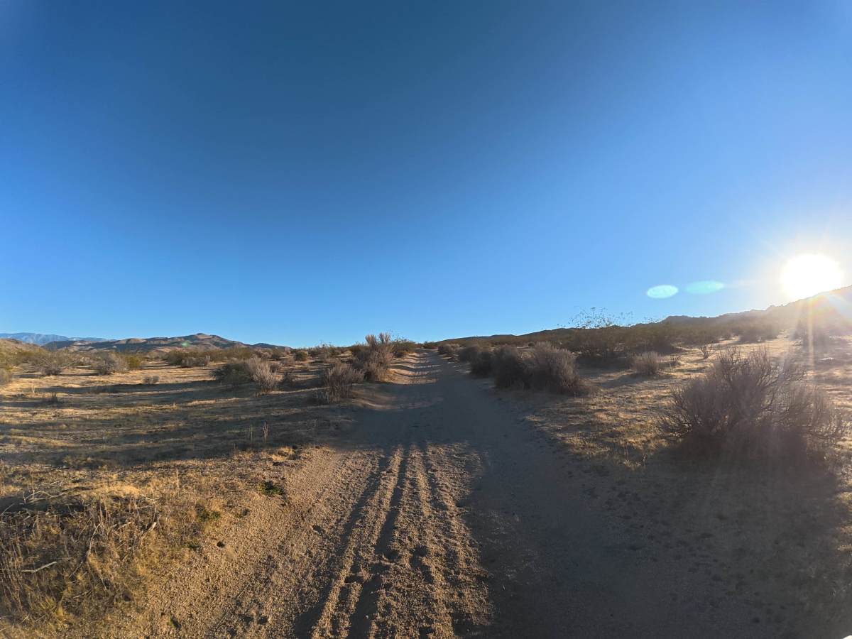 BLM SV2607 photo 3