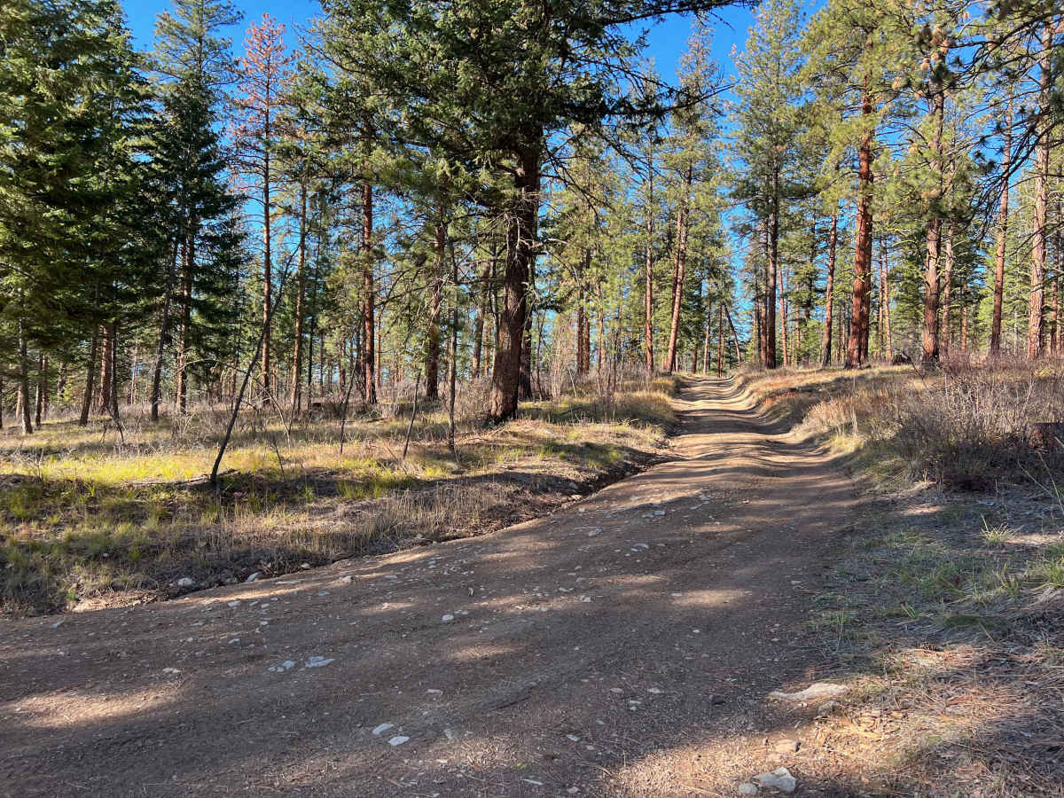 Edith Peak Trail 42 photo 2