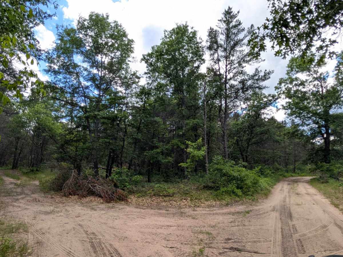 O'Brien Lake Road - FS 4061 photo 5
