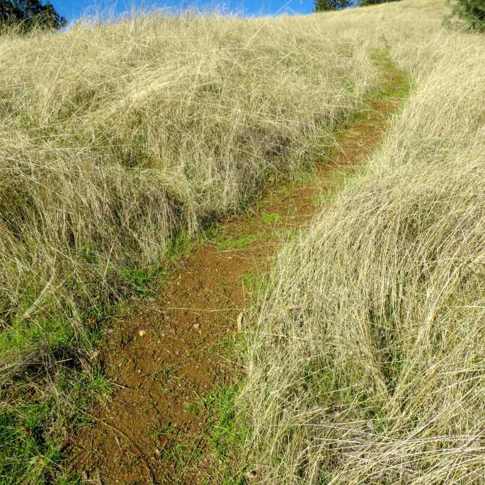 Near Mount Sizer via "The Shortcut"