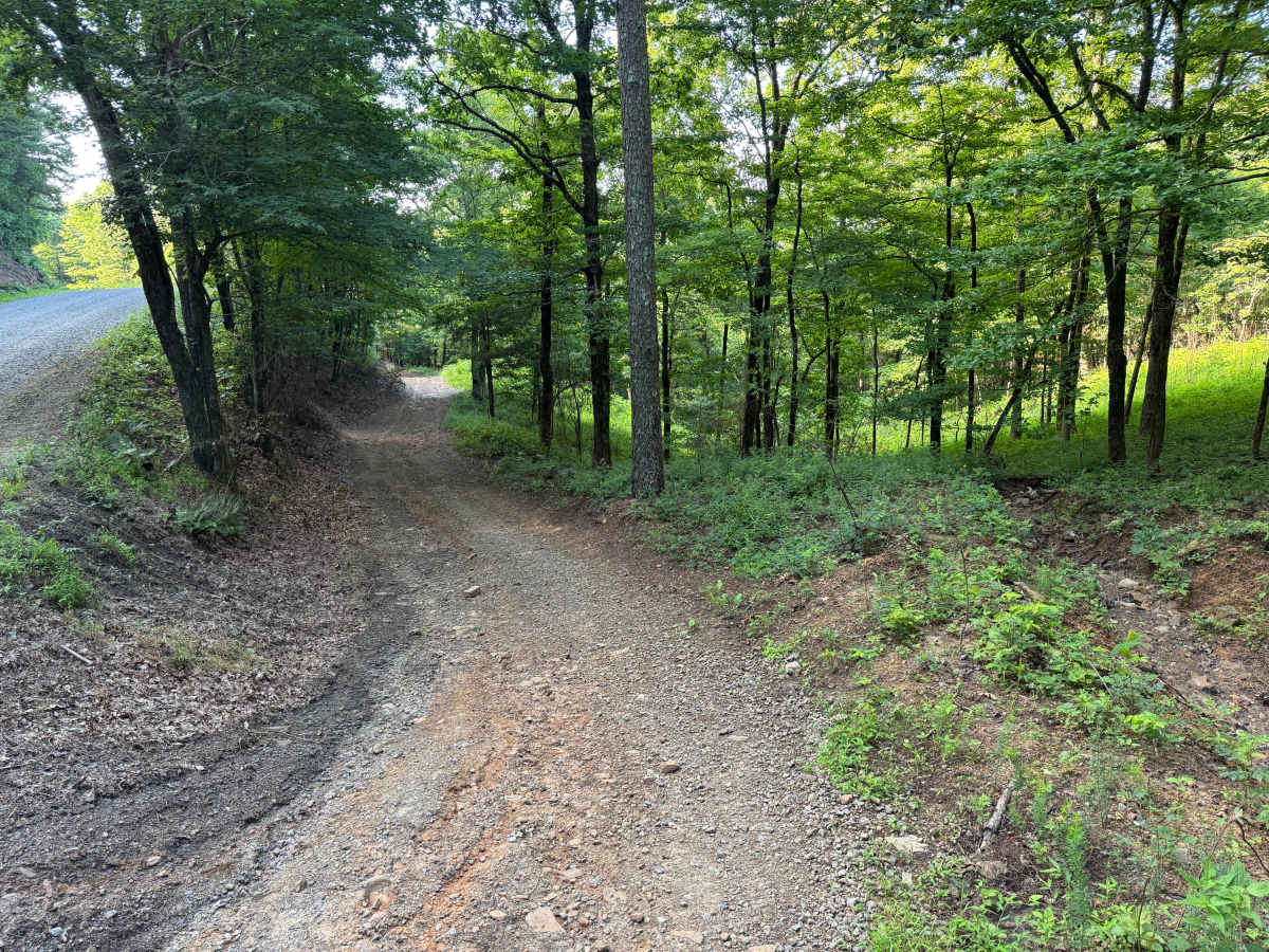 Griffith trail photo
