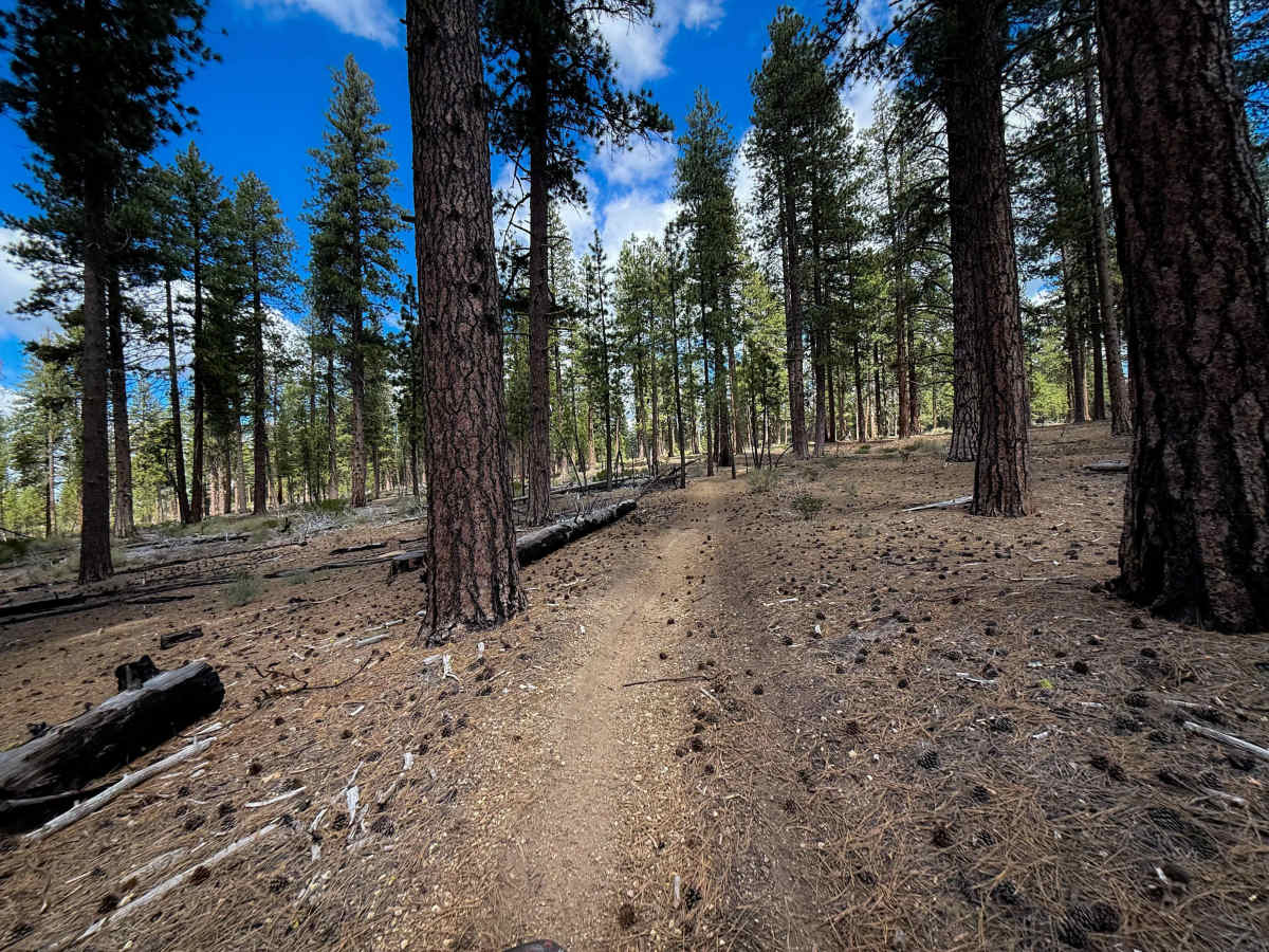 Trail 19   trail photo