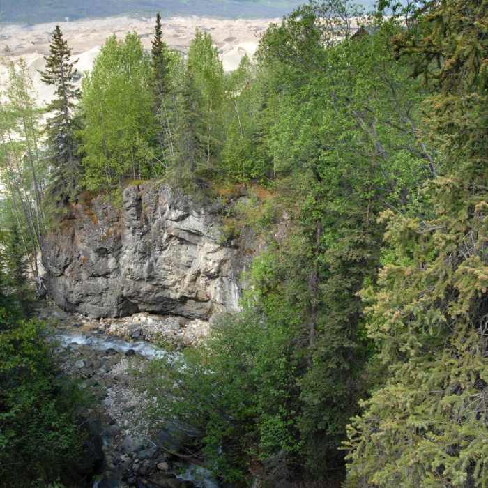 Near Root Glacier Trail Near Root Glacier Trail