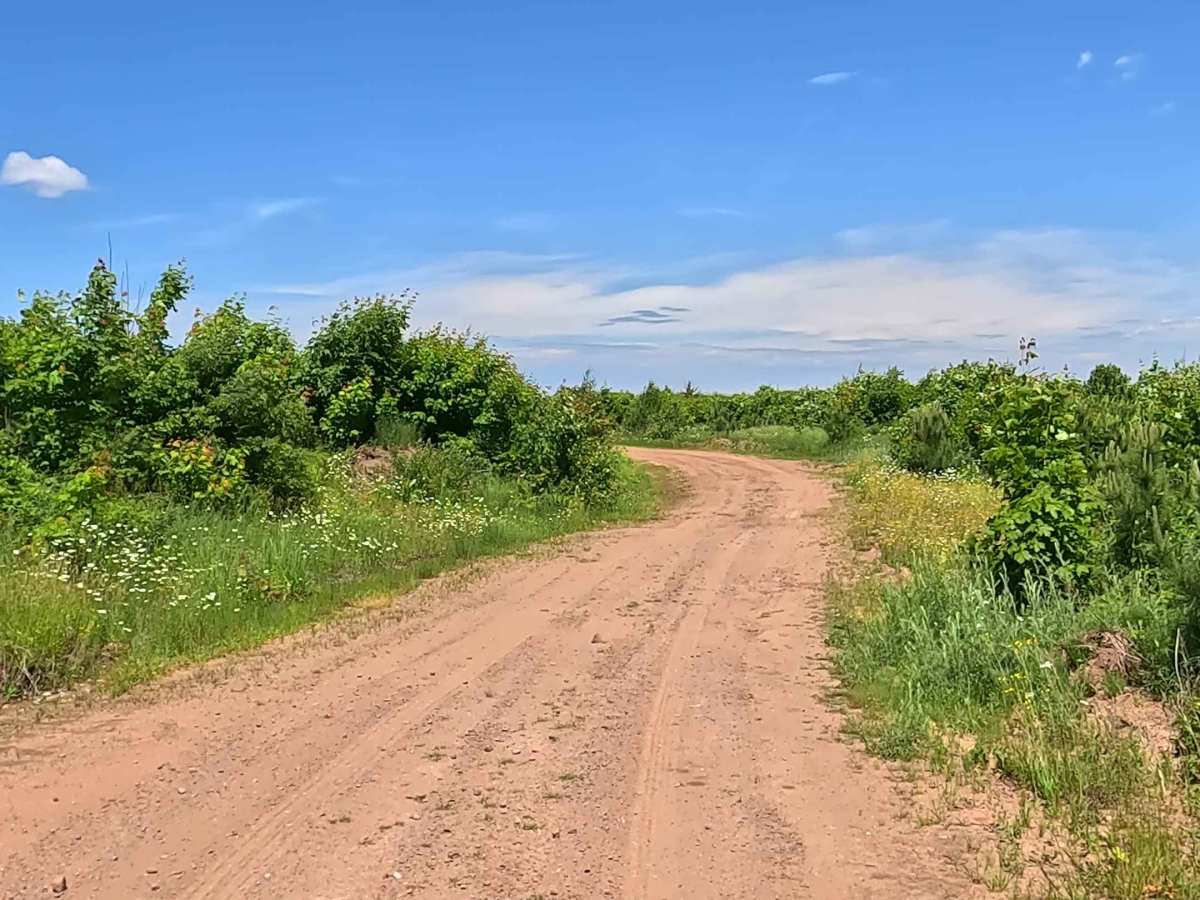 Third Lake Drive trail photo