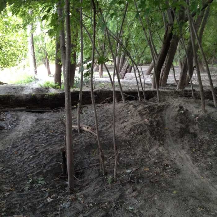Near Trail D