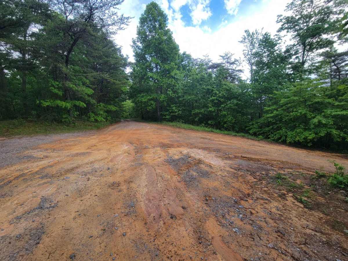 Chilhowee Ridge (Oswald-77) photo 5
