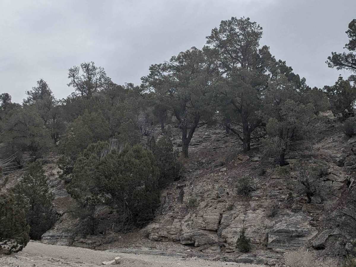 Side Canyon Road photo 4