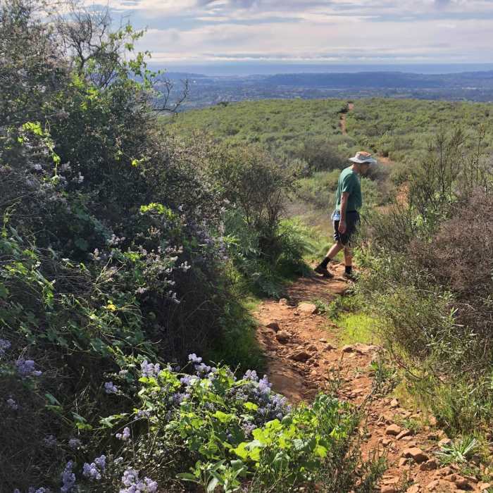 Near Glider Point Trail