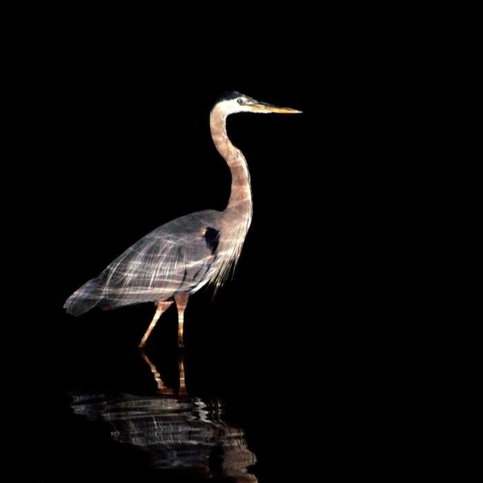 Near Fox River Trail