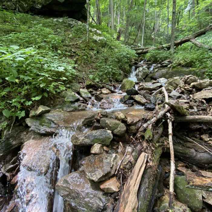 Waterfall with a looming boulder. Near Bald Mountain Creek Preserve Outer Loop