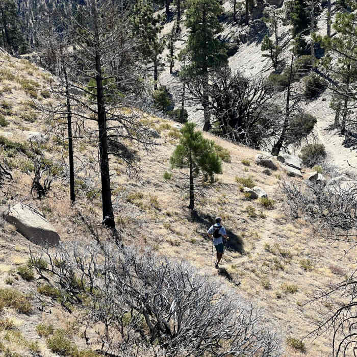 Near Winston Peak and Winston Ridge Loop