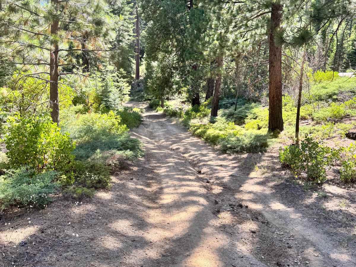 Old Strawberry Road Trail - FS 4N28YB photo 3