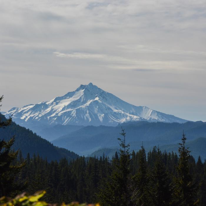 Near Battle Ax Mountain Loop
