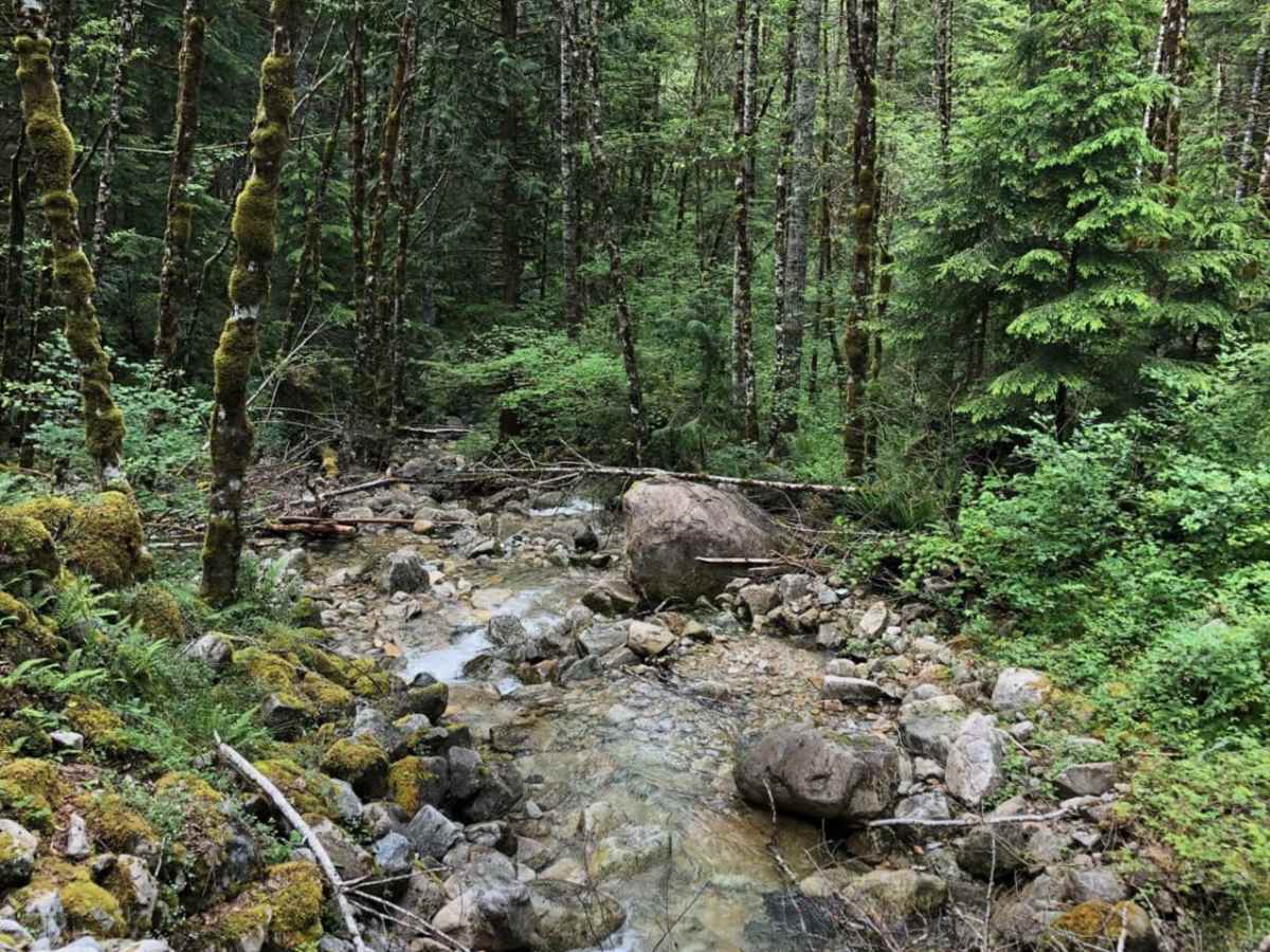 Middle Fork/Goldmeyer Rd photo 5