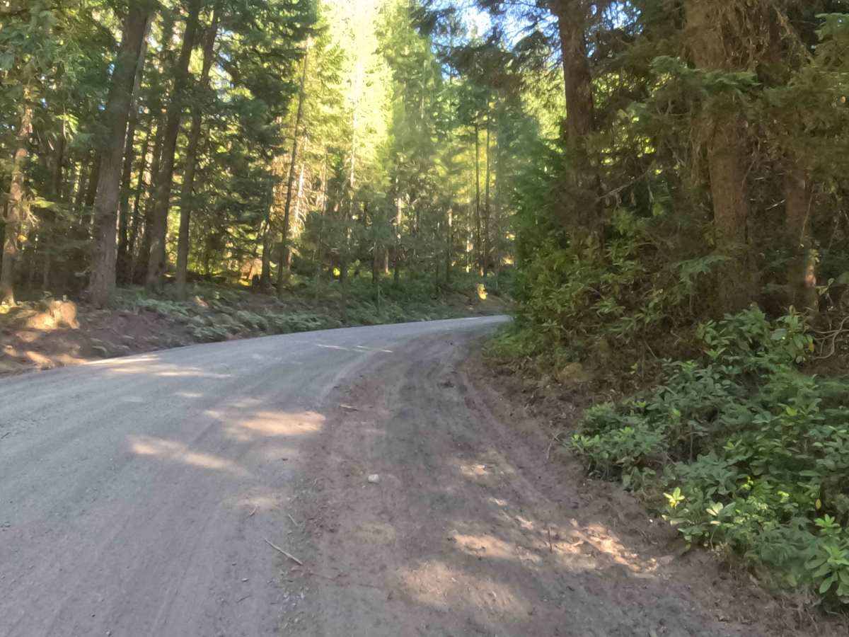 Woodpecker Ridge Rd - FS 2200040 photo 4