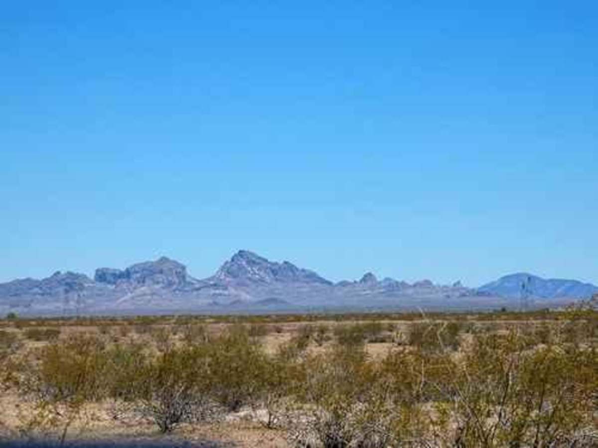 Agua Caliente Road photo 5