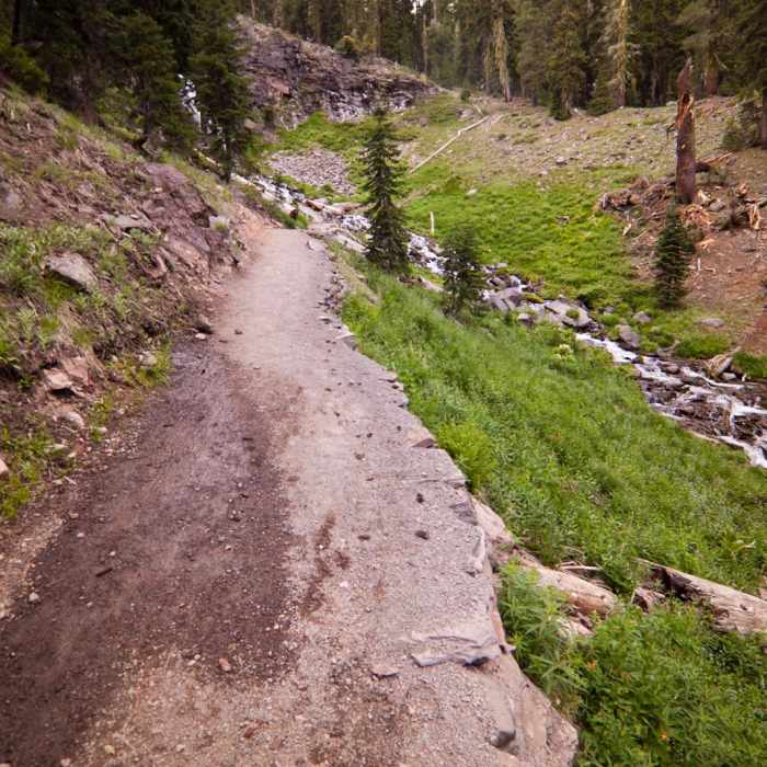 Near Plaikni Falls Trail