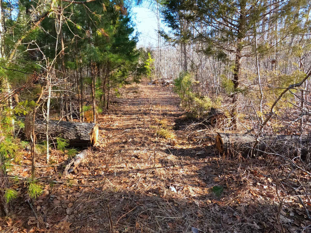 Duffy's Hollow Spur A - FS 419A  photo 6