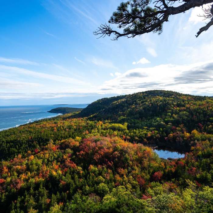 Near Penobscot Mountain Trail