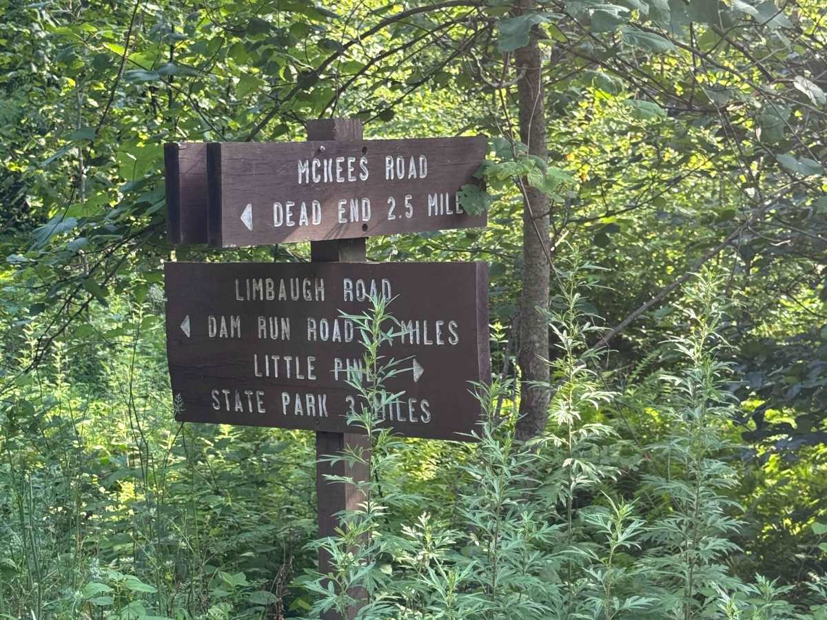 McKees Run Road trail photo