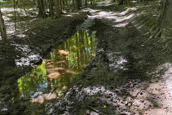 Lumley Trail