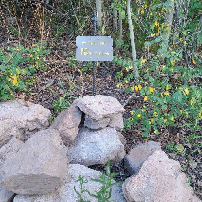 Near Mitchell Trail #69