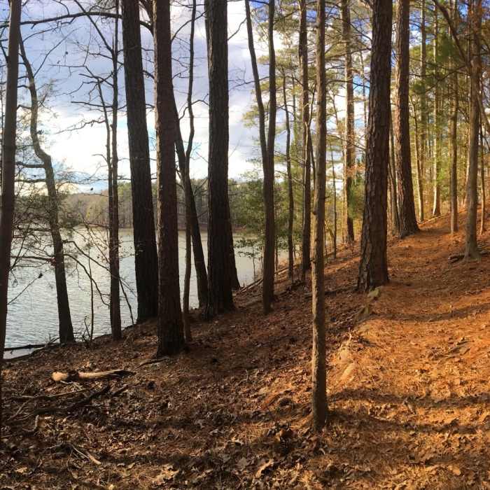 Near New Hope Overlook - Red-Blue Trails